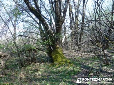 La pradera de la ermita de San Benito;clubes de senderismo;mochilas senderismo